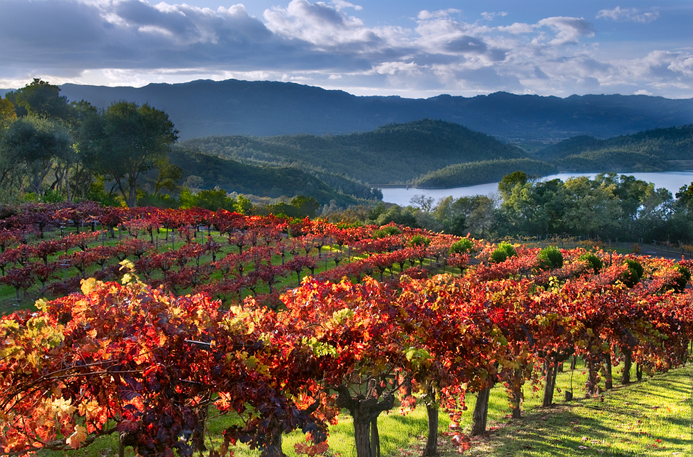 Napa Valley